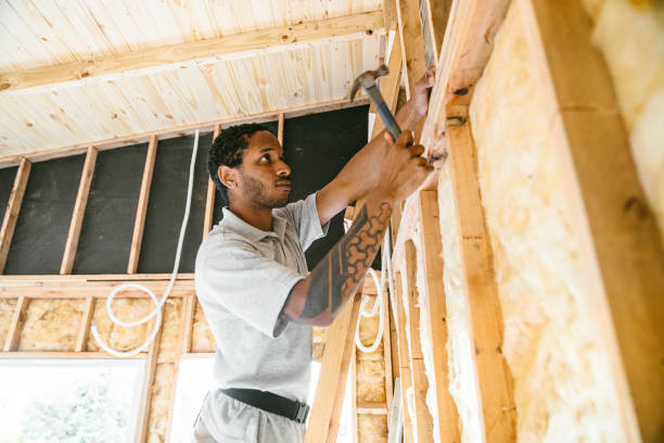 Insulation Inspection Services in East Dubuque, IL