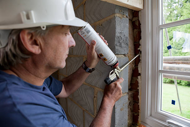 Best Insulation Contractor Near Me  in East Dubuque, IL