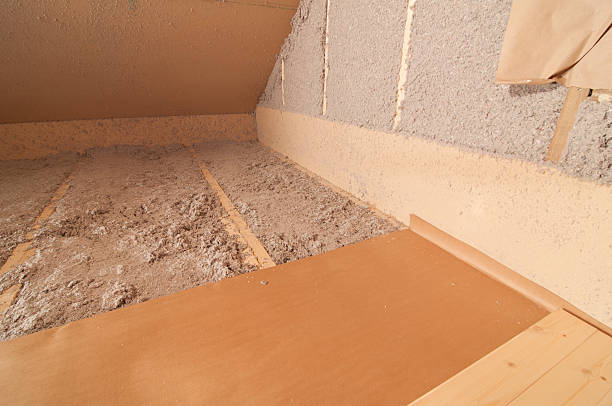 Best Home Insulation Services  in East Dubuque, IL