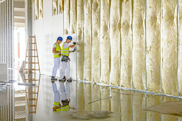 Best Insulation Inspection Services  in East Dubuque, IL